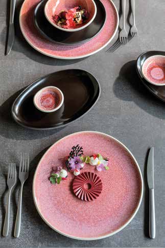 Rosenthal Geschirr rosa schwarz bei LGC Zafferano